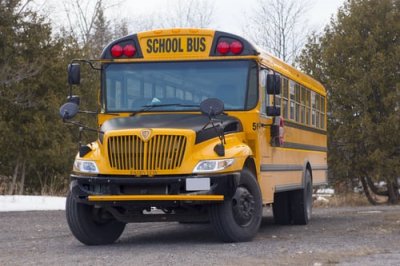 bus