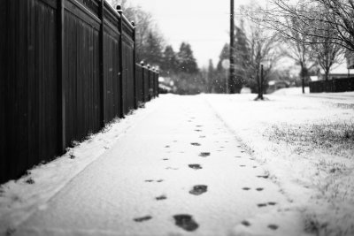 snow sidewalk