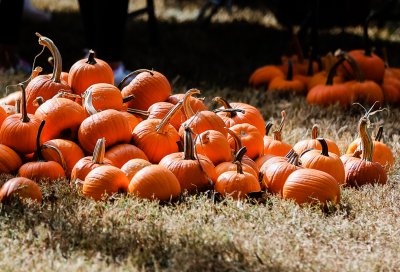 pumpkins