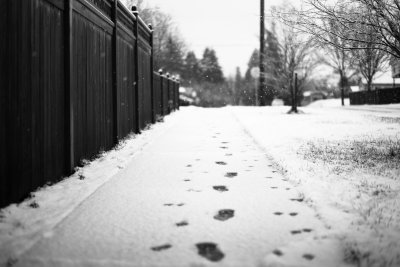 sidewalk snow