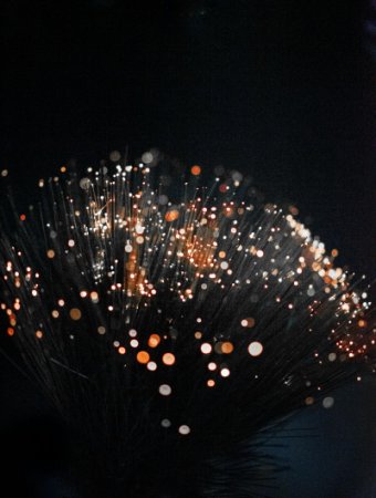 FIBER STRANDS