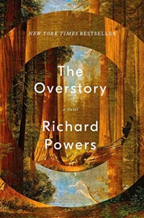 Overstory