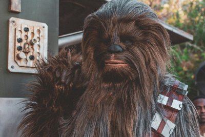 chewy