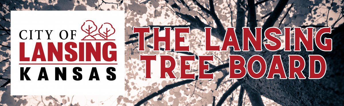 Lansing Parks and Recreation Tree Board Page Banner