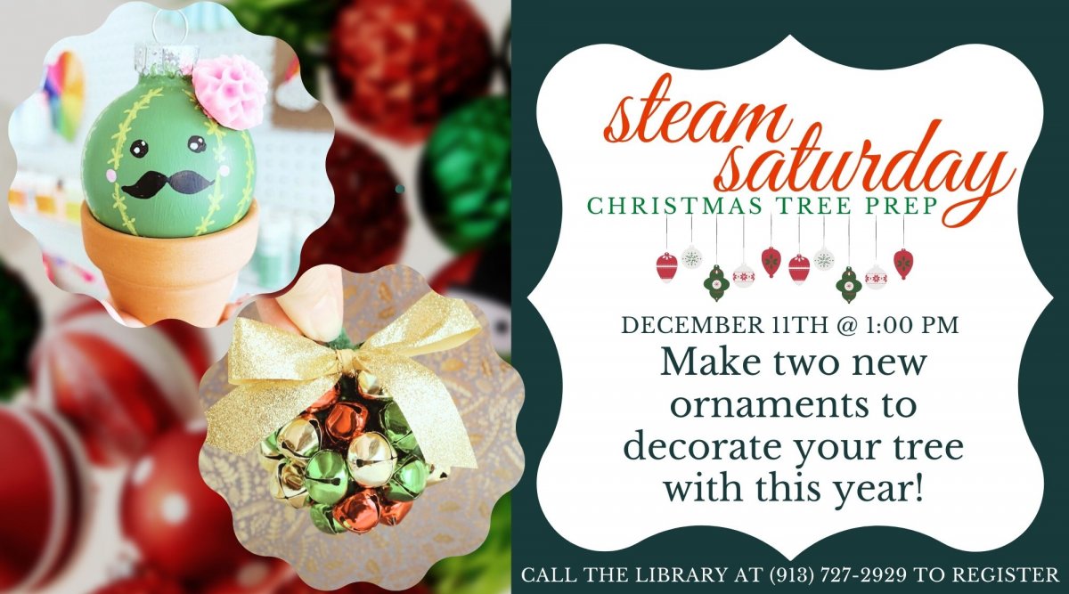 December STEAM Saturday December STEAM Saturday